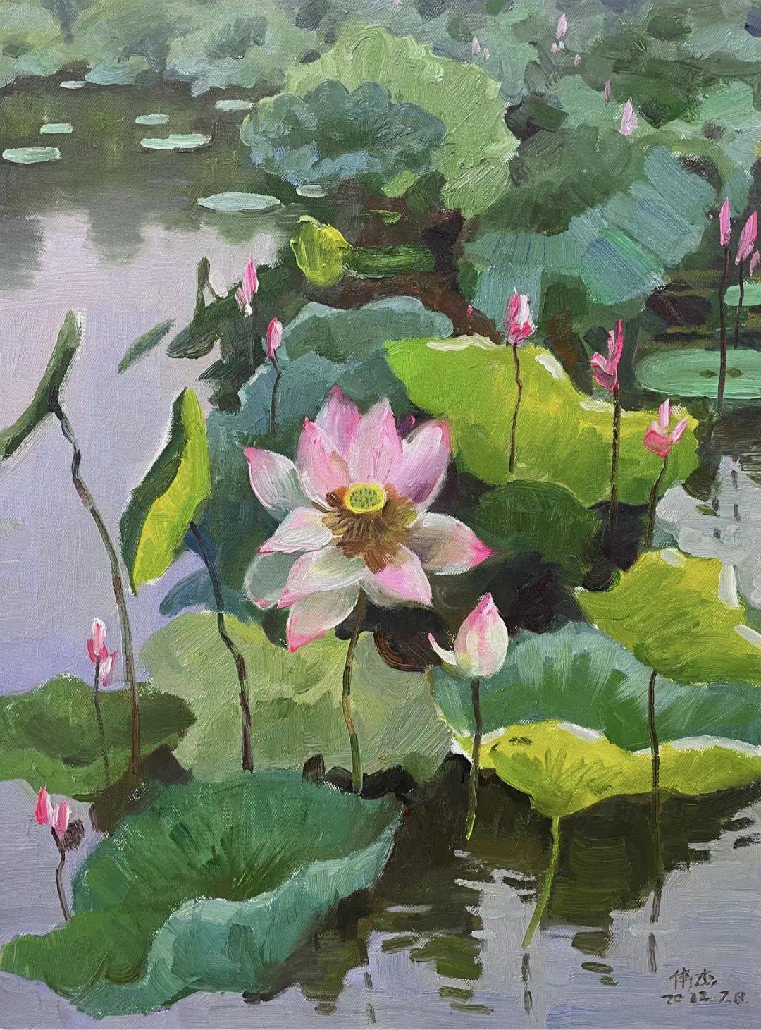 夏荷图画