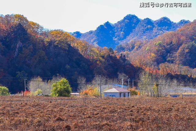 辽宁这个村子名字跟土匪有关，却藏着最美山沟，被上帝赐给了画家