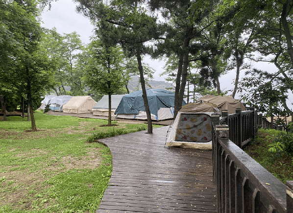 滨海路木栈道观景台被露营帐篷占据