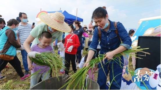 南沙“全景东涌”上线，“东涌发布”举办粉丝线下行活动