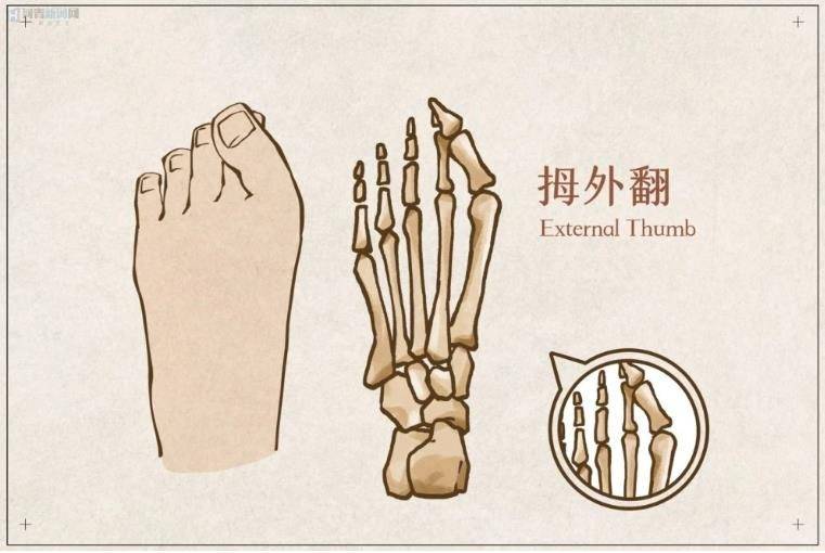 基层健康服务·今天 14:29膝痛新选择——大西医疗 docell scp吉大