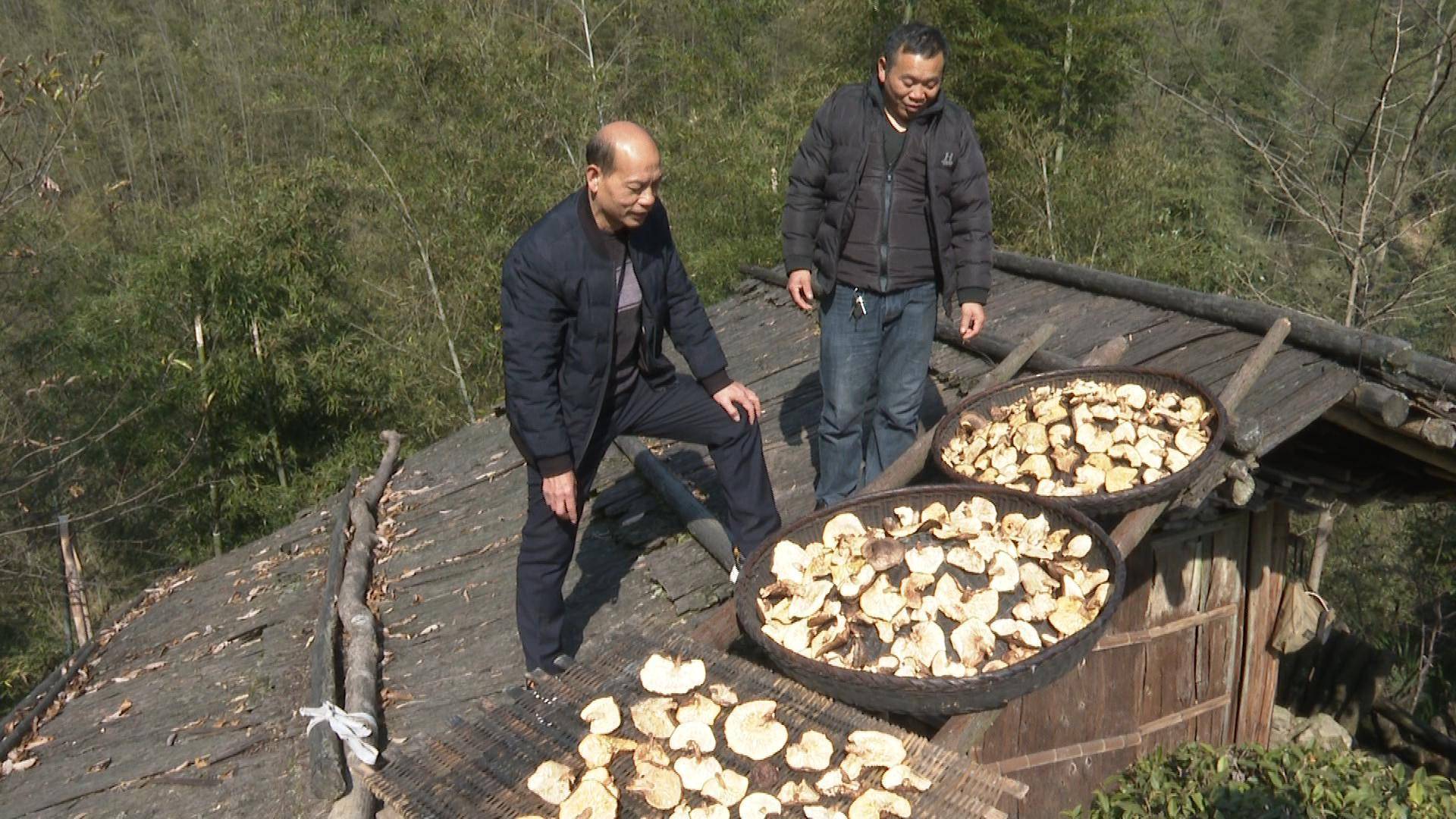 祁阳肖家镇龙凼村：产业引领旅游助力乡村振兴