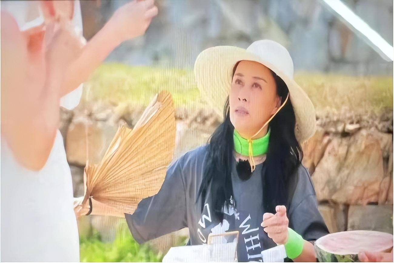 那英顶着烈日卖西瓜,头戴草帽似农村妇女