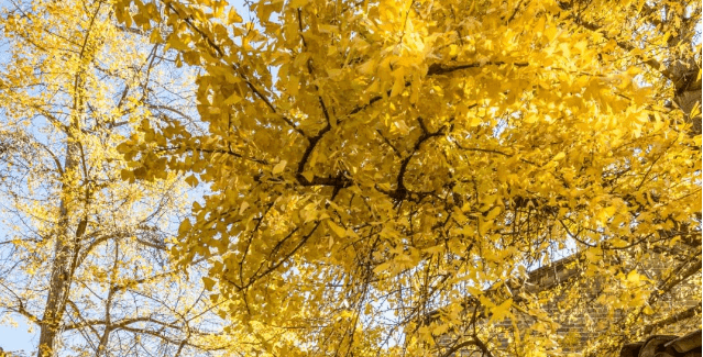 下半年愉悦快乐的旅程，要避免受到景区的欺骗，建议多看些攻略