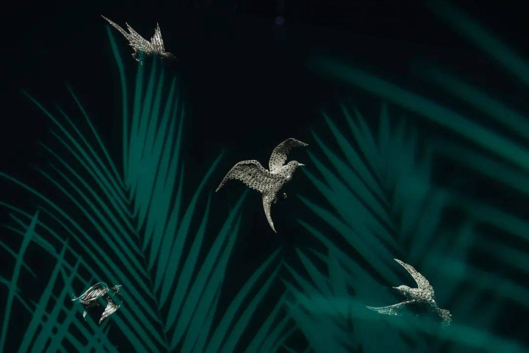 ����֮������Ϻ�������ű������Ʒ����չ����Խ���������