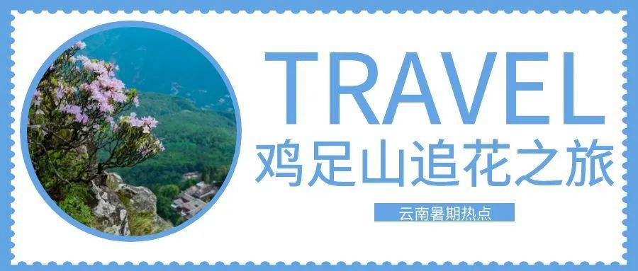 大理暑期徒步追花之旅|登宾川鸡足山，遇见高山杜鹃花！