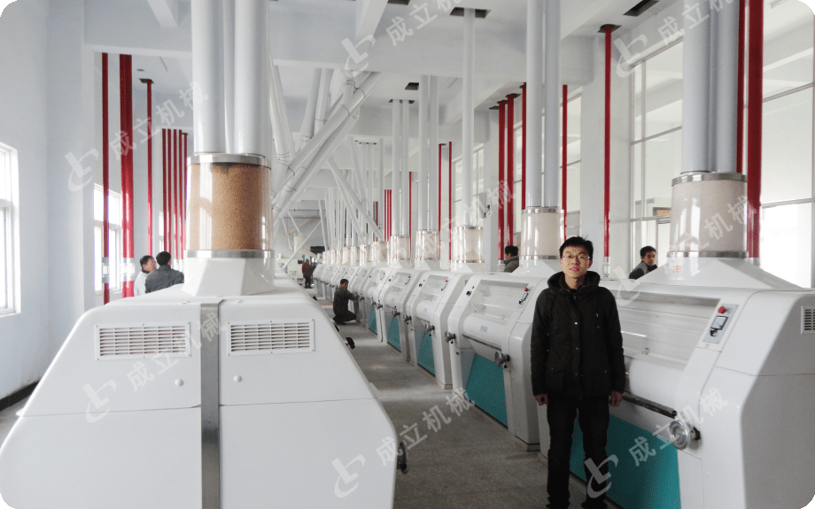 小型家用全麦石磨面粉机的质量怎么检测？