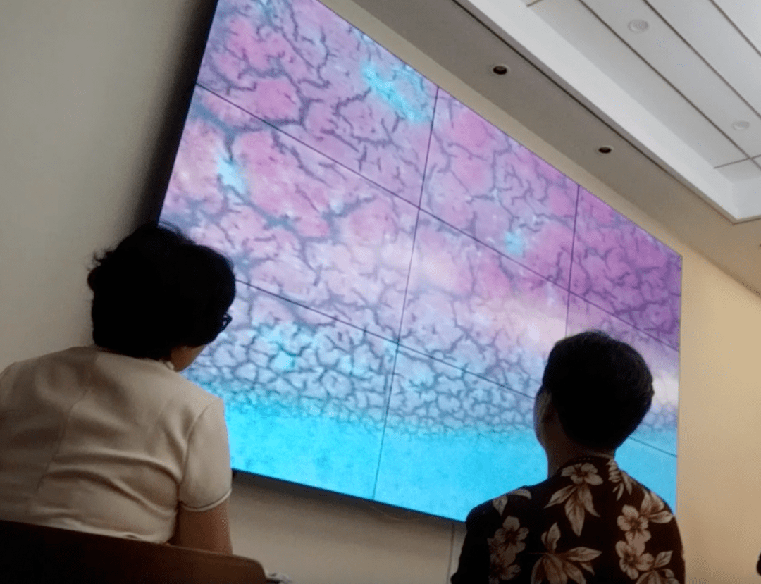 杭州慈孝堂涉嫌“四宗罪”:明目张胆假宣传 欺诈消费者(图4)