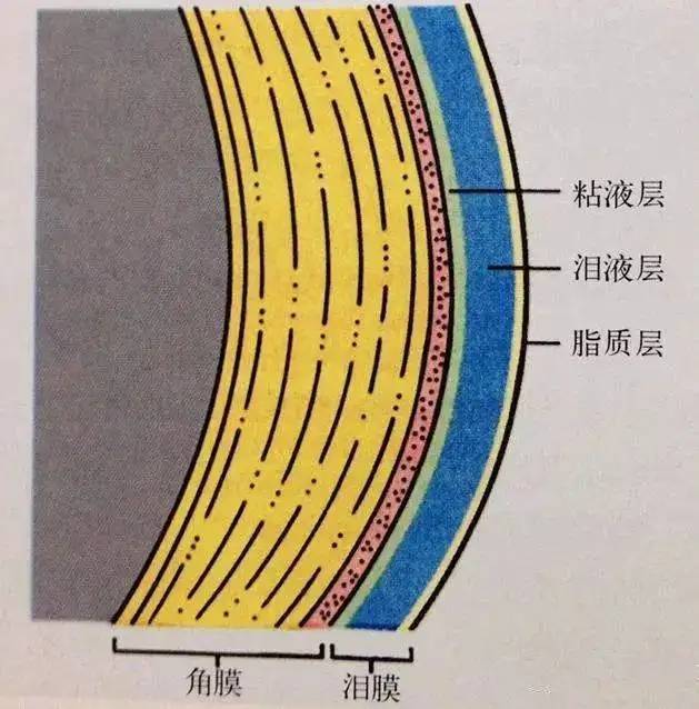 角膜多少能做飞秒,2022重庆近视手术医院实力排名前三甲,飞秒价格