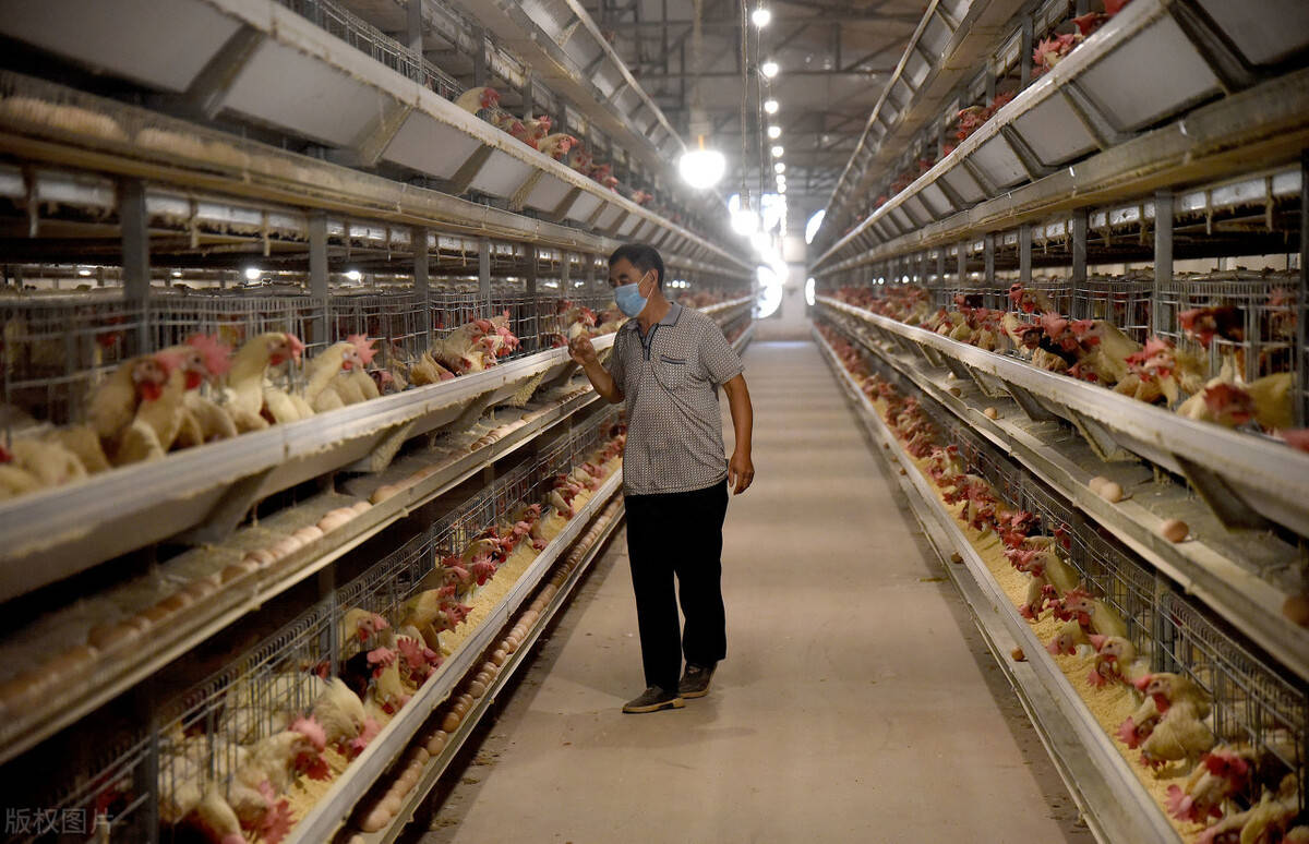 来源于网络对此,河北省规划的重点任务是持续优化畜禽养殖空间布局