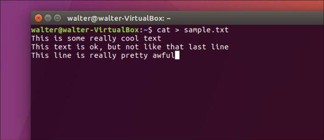 如何在 Linux 中使用命令行快速创建文本文件