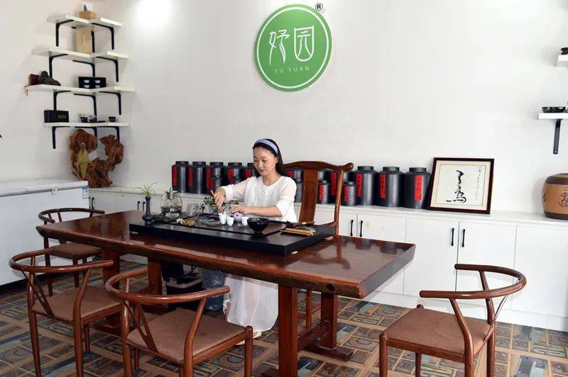 凤冈锌硒茶邓婕妤与茶相伴人生馨香