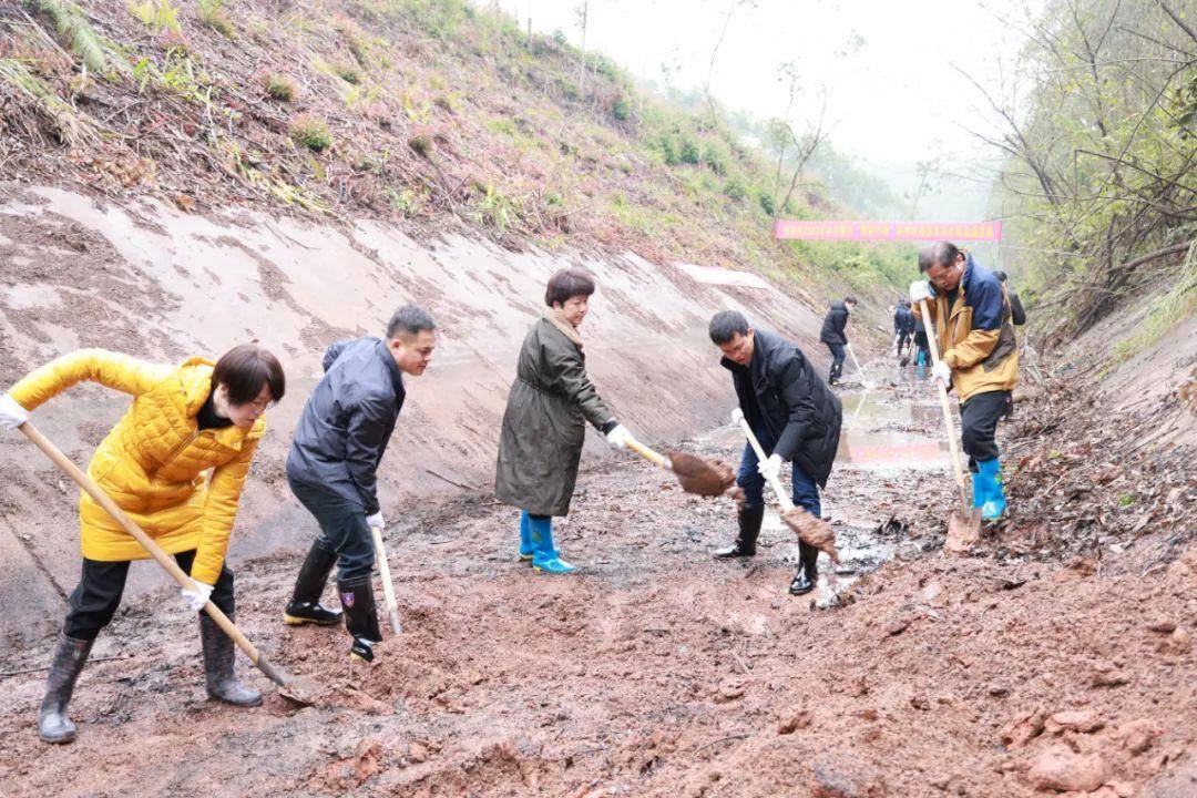 乡村振兴正当时-孟春里的一场"春雷",推动良庆区在