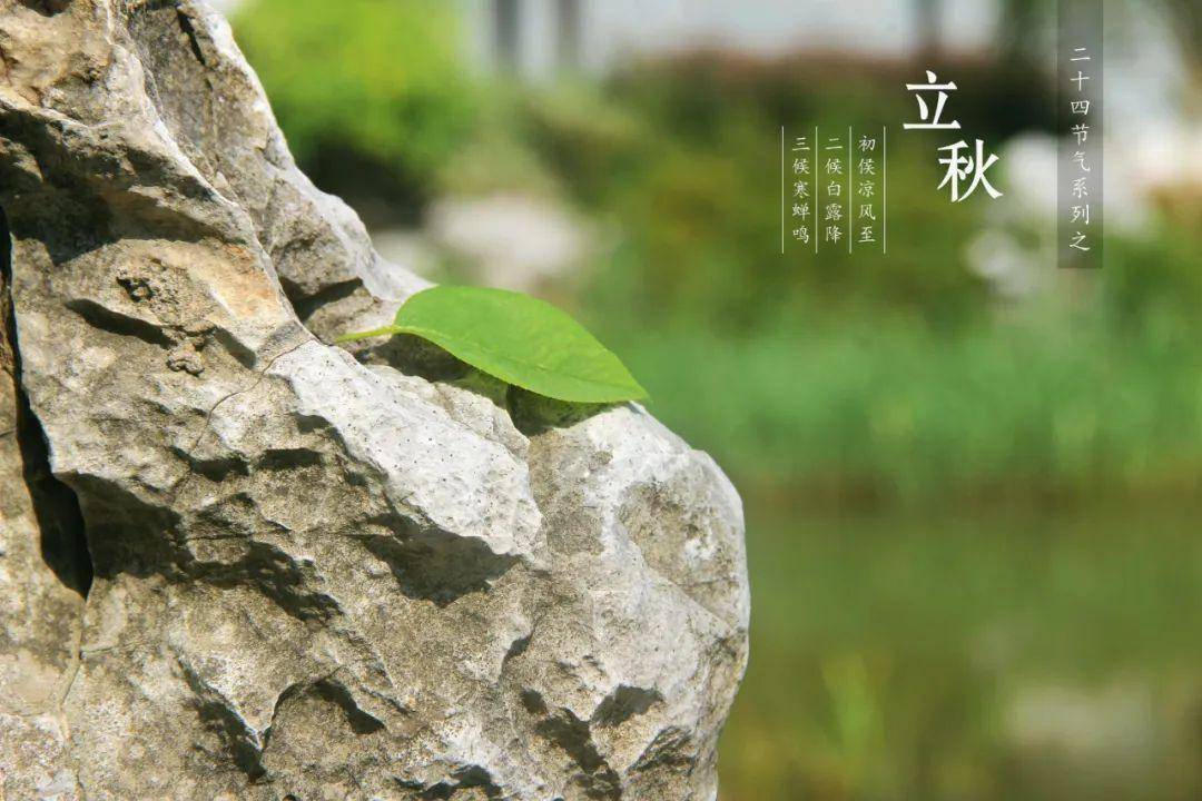 忽然梧叶落庭中,十首立秋的诗词,惟愿你此生一切安然顺遂!