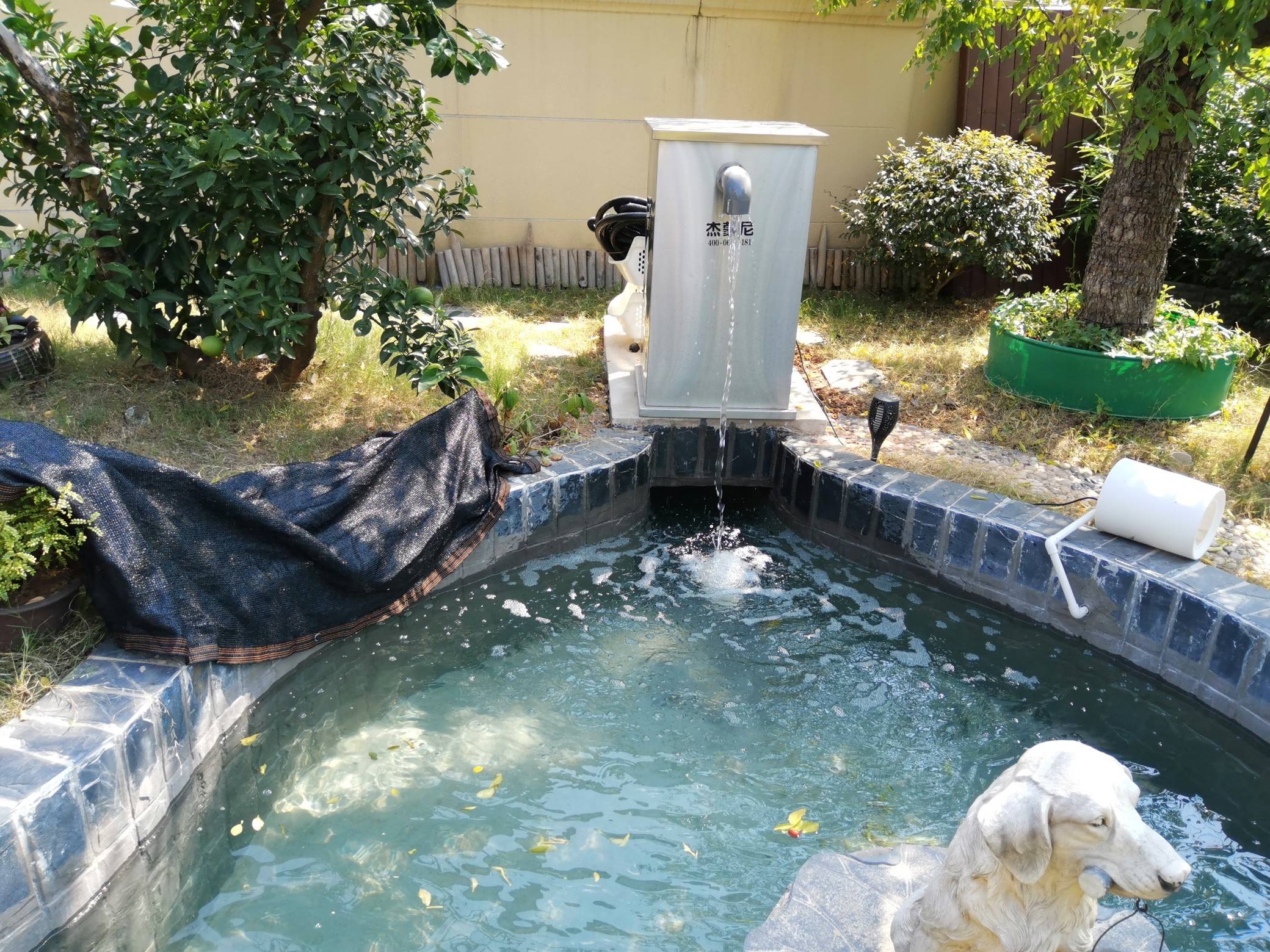 科技驱动美好生活鱼池过滤箱引领智能水生态