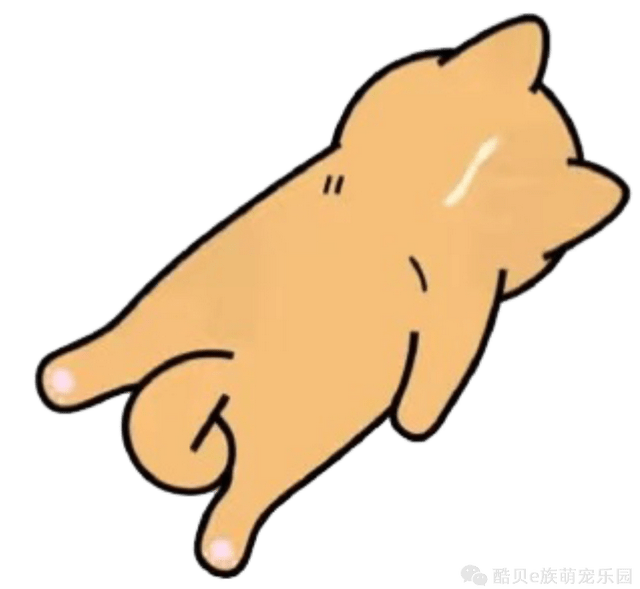 hello dog #四仰八叉睡侧躺睡是狗狗最常用的睡姿,通常这个睡姿代表
