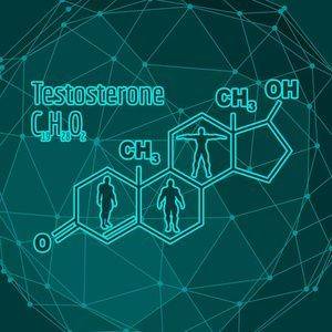 睾酮是什么、作用有哪些？促睾指什么，方法又有哪些？