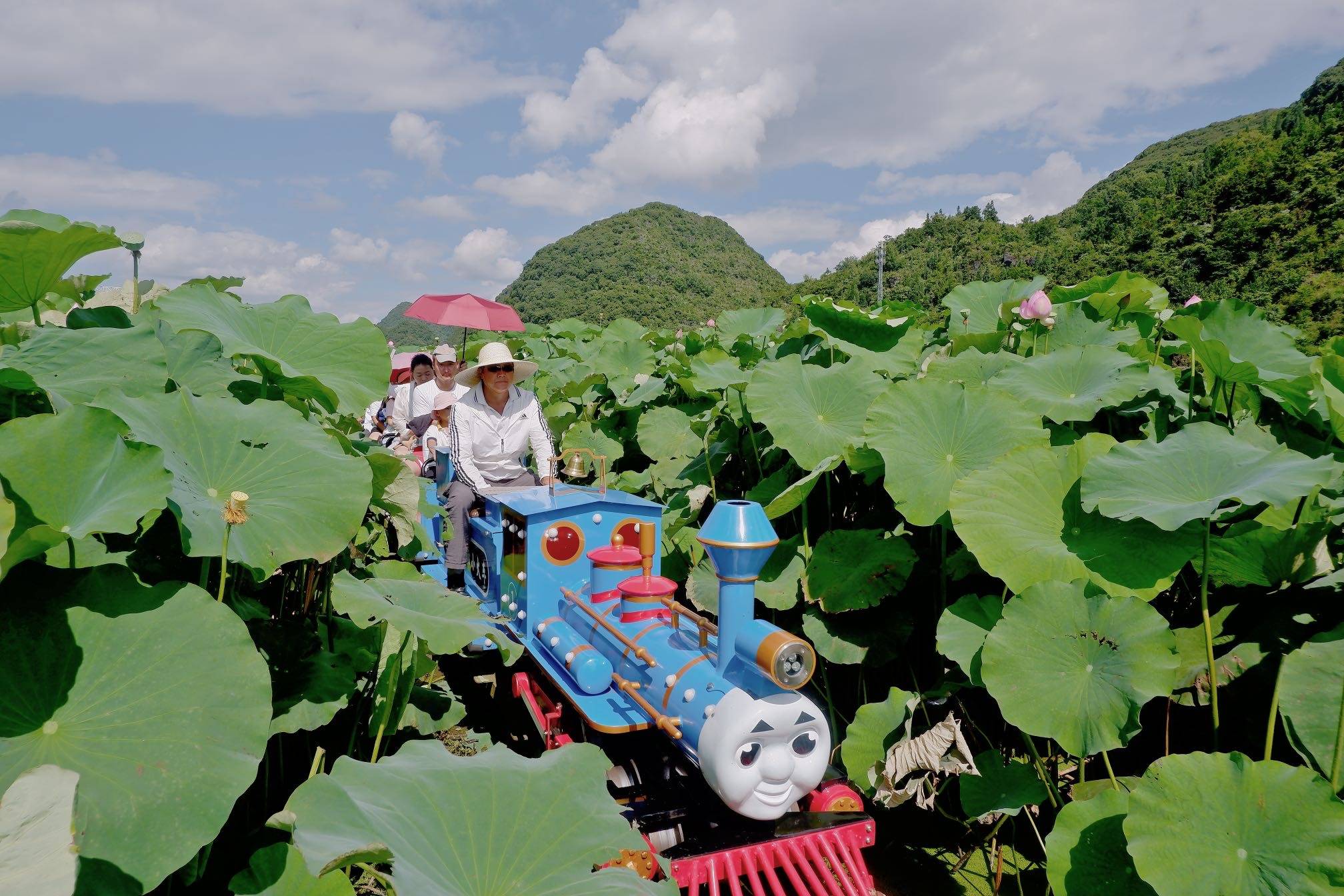 安顺夏天最火的景区，十里荷花廊里开火车，工作日依旧人山人海