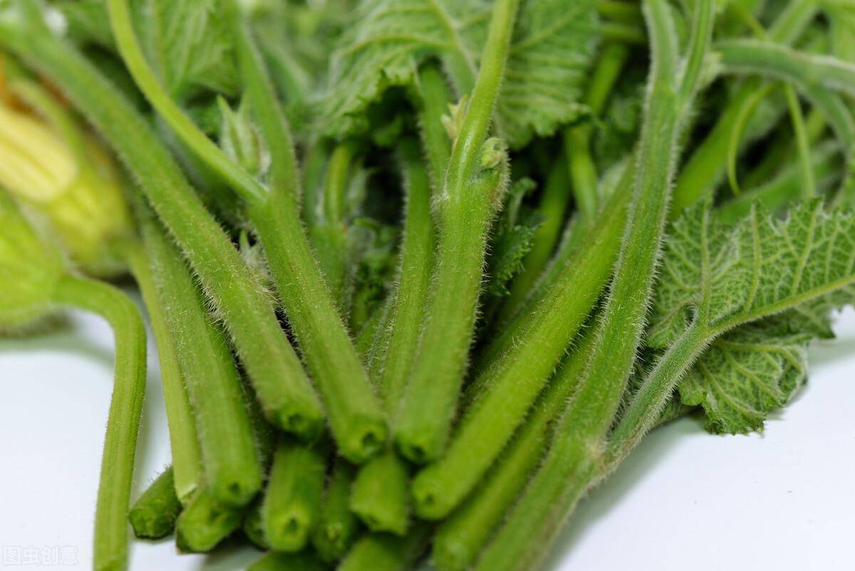 原创南瓜嫩茎每斤5元亩收益3万种植方法有哪些老农经验分享