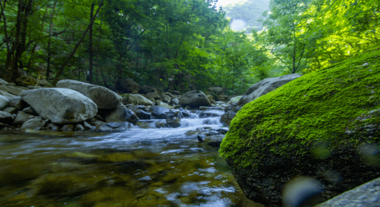 龙峪湾,洛阳栾川东8公里,国家文明森林公园,国家aaaa景区,伏牛山世界