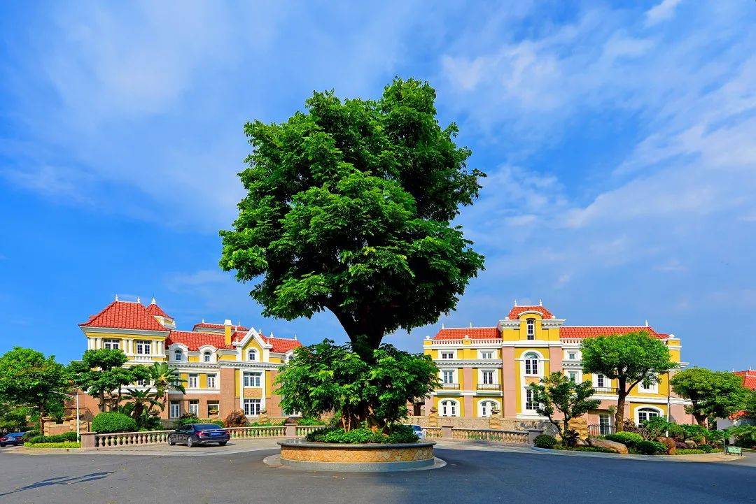 镜头里的金海岸花园,鎏金时代的惬意生活!_户型_获奖_入围奖