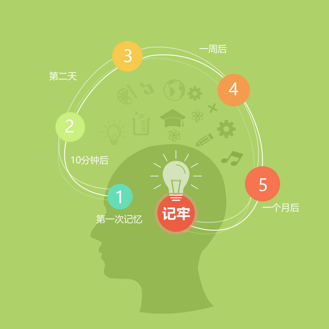 蓬蓬记忆学丨90%同学记不住知识点是因为它!_大脑_复习_储藏室