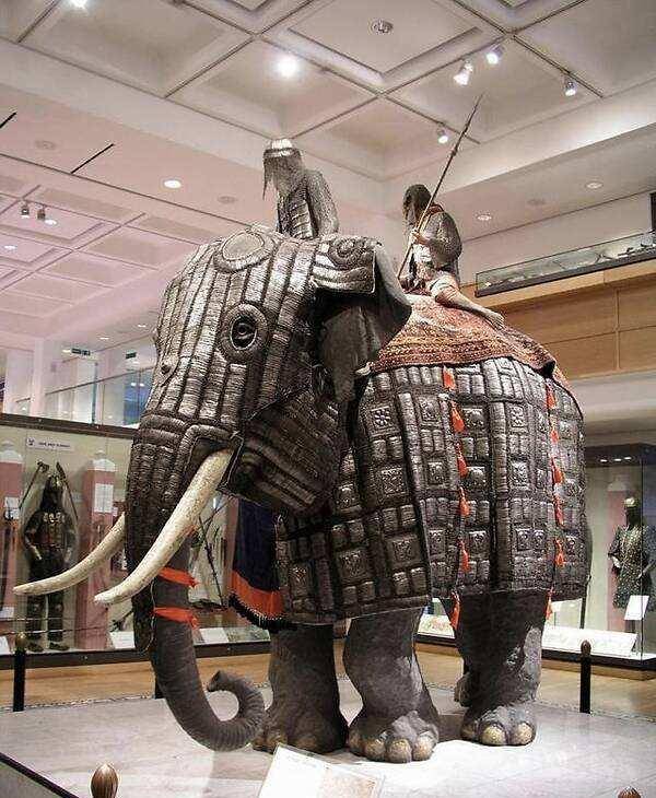 江西坡之战,冷兵器时代战象的最后辉煌,清军正红旗兵伤亡过半