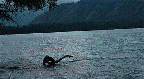 但是要说最为著名的便是位于新疆北部的喀纳斯湖水怪事件了