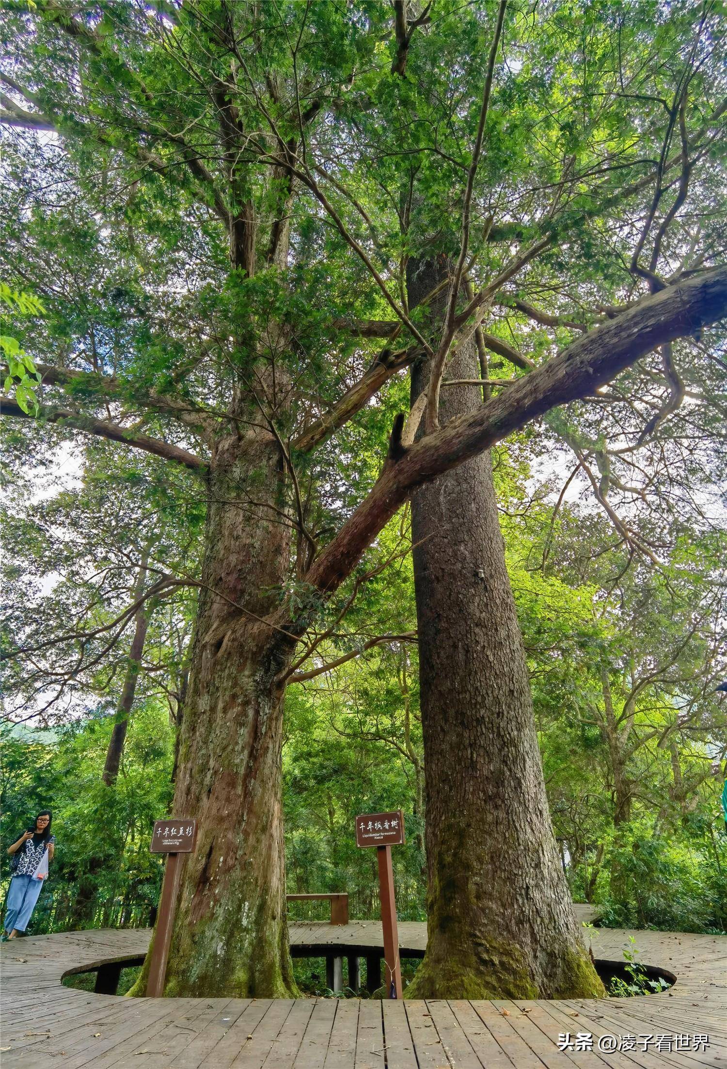 福建邵武云灵山峡谷漂流云灵湖玩皮划艇4天3晚还没有尽兴