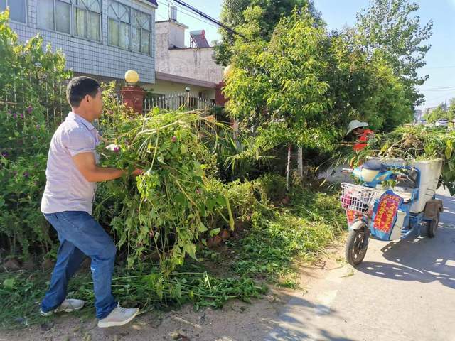 商城县上石桥镇:人居环境整治"热"情不减持续战斗_工作法_项目_全镇