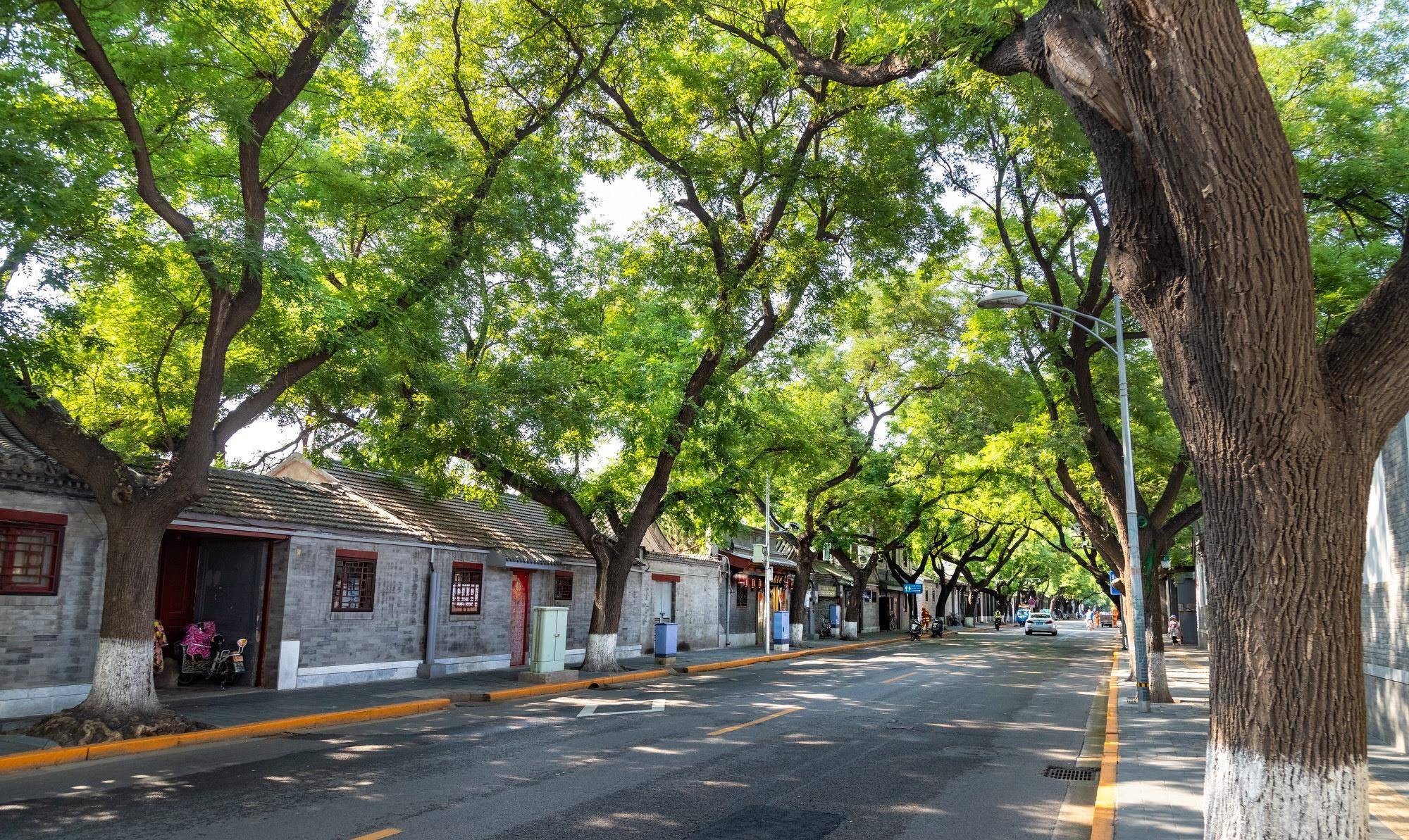 南池子大街_北京_胡同