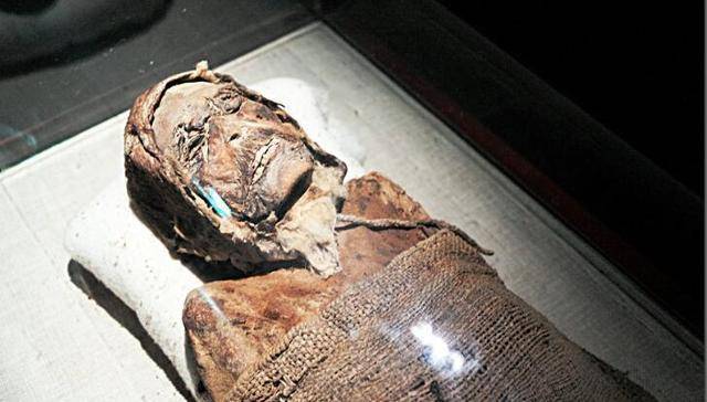 考古专家将"楼兰美女"解剖后,放到显微镜下,网友:不忍直视_生活_尸体