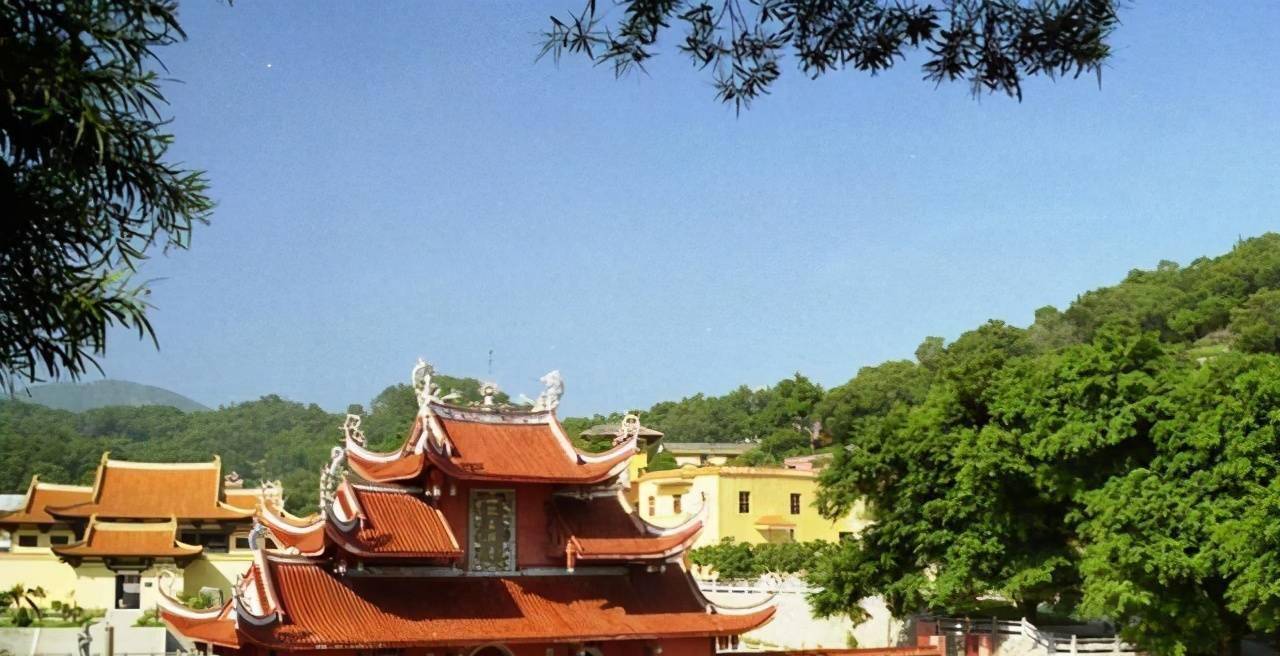 中国有座8000平米的寺庙,里面藏着一颗千岁的腊梅,就在南京_龙泉_进行