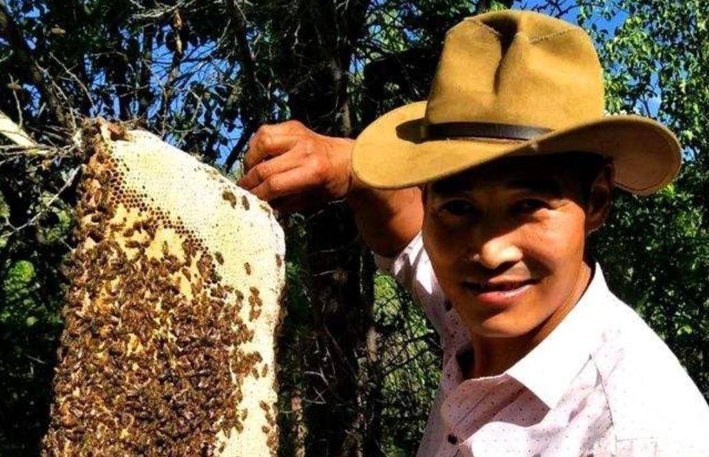 2010年,女记者与青海蜂农闪婚后辞职,11年后控诉丈夫家暴_马金瑜_扎西