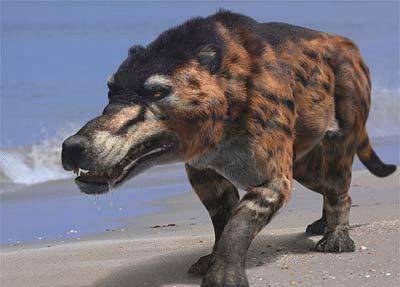 “驴头狼”已灭绝50万年，近代却屡次现身神农架，这意味着什么？