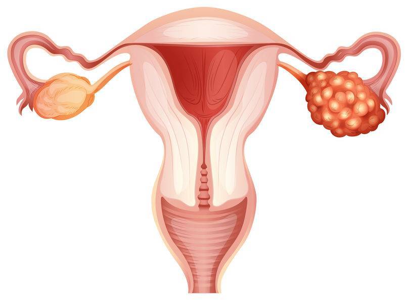 如何判断卵巢功能是否正常(附3个特征)