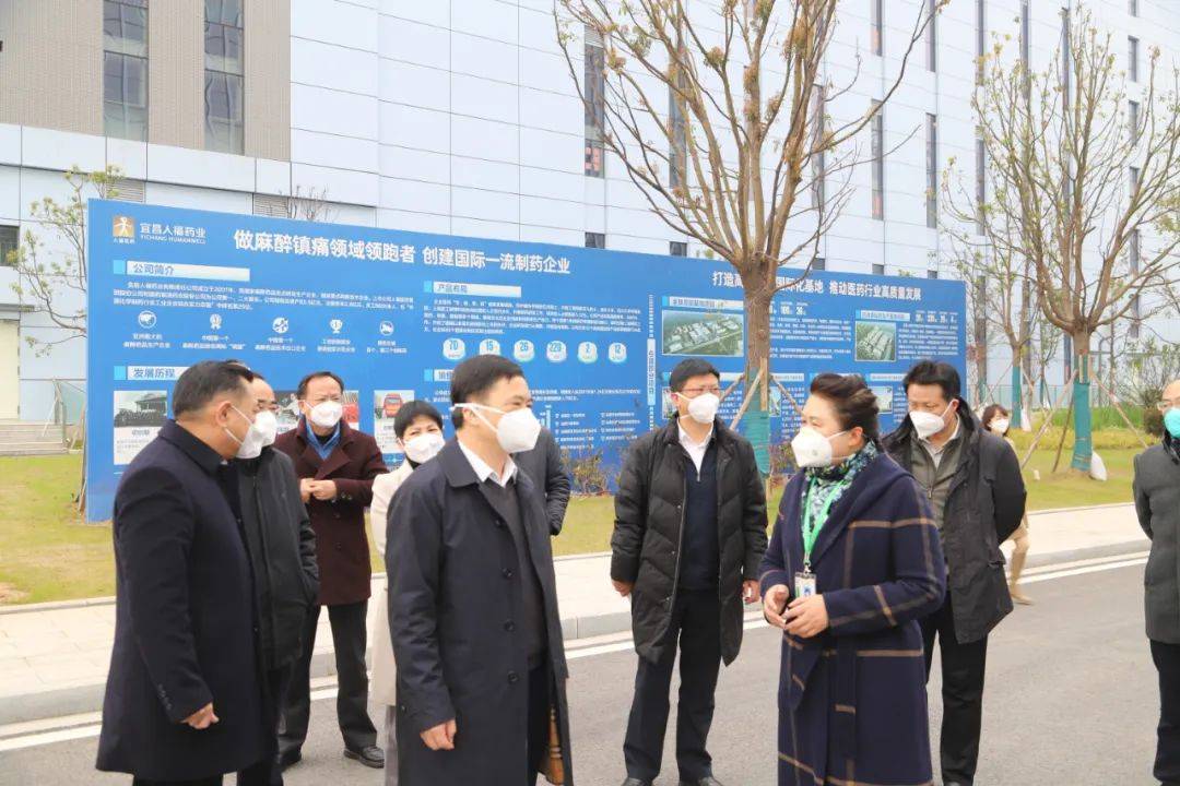 马泽江市长调研宜昌人福药业抗疫保供工作_生产_公司_防疫
