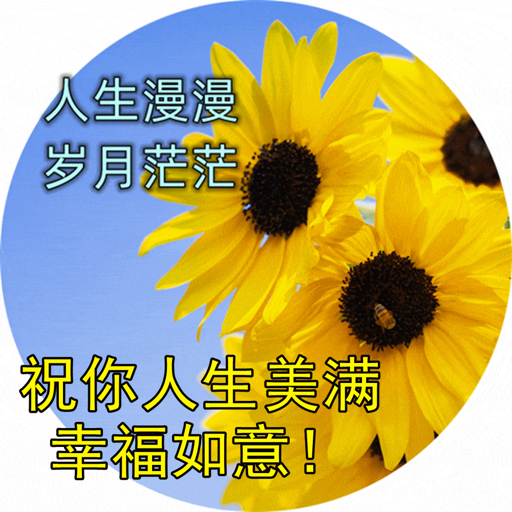 12,在这寒冷的季节里,问候远方的朋友,愿你安好,祝你幸福!