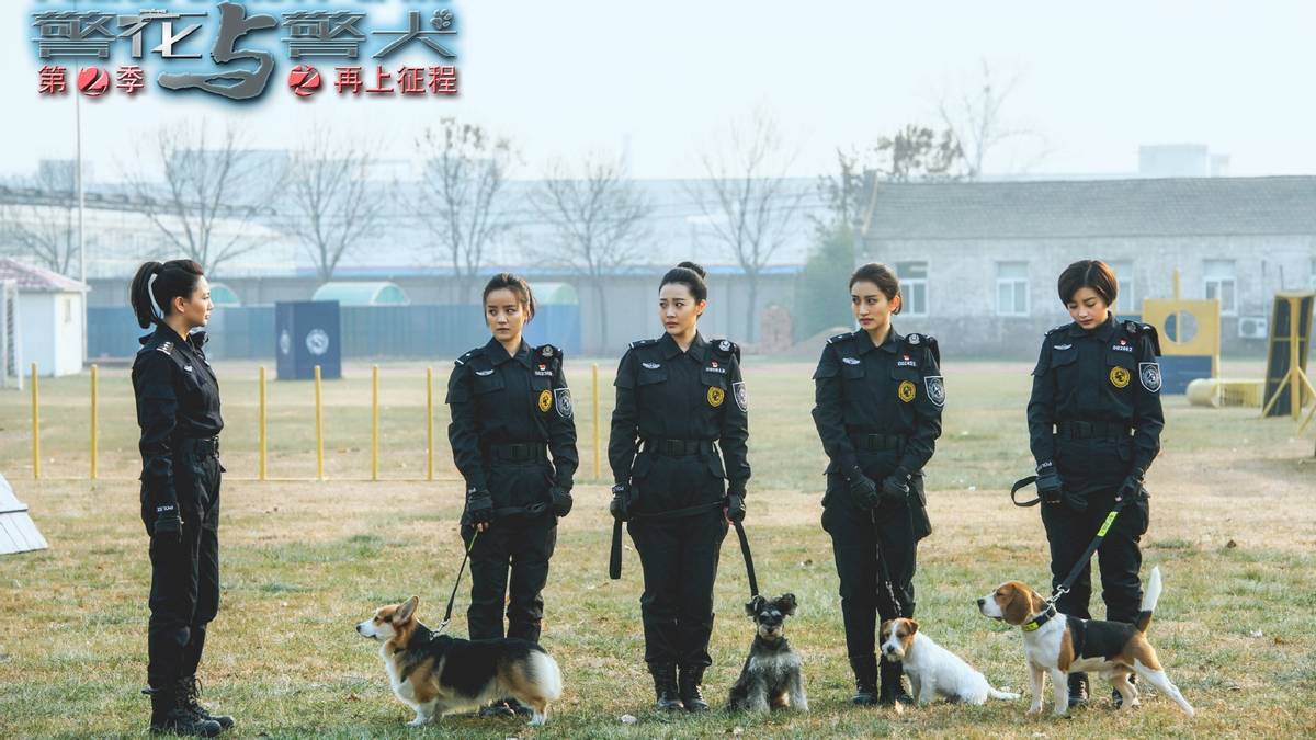 警花与警犬2生宝宝图片