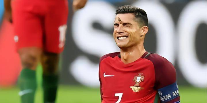 看,这有一只飞蛾.