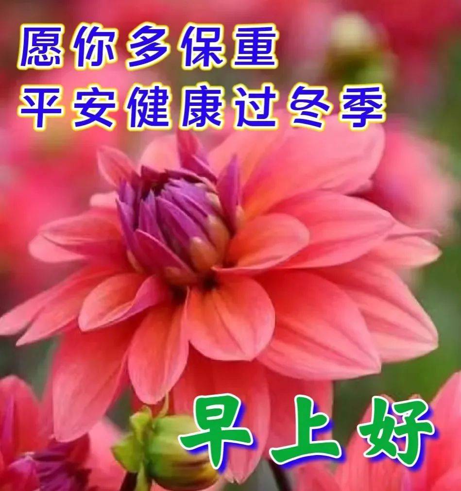 12月26日周一早上好,星期一早安暖心祝福图片带字带问候语录_生活