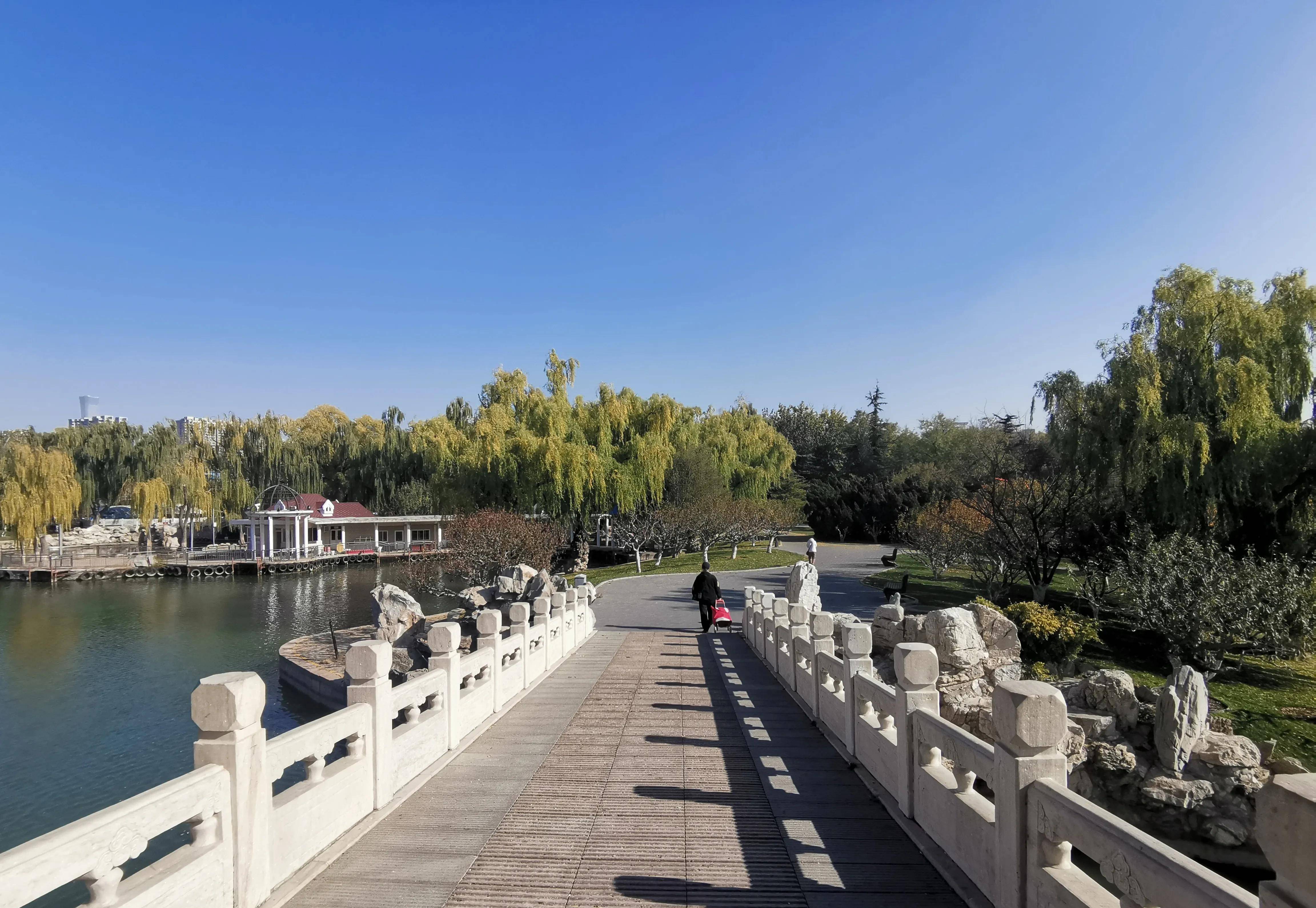 进入了冬季,北京的龙潭湖公园依然是秋色一片