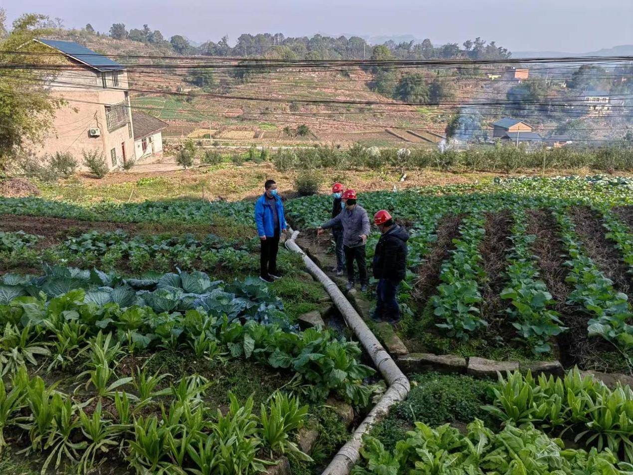 江津区石门镇人大探索重点工作特邀人大代表监督制度_村民_施工_项目