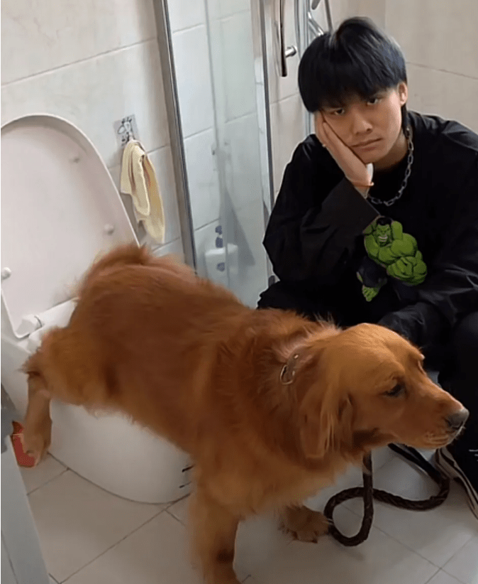 当时这类视频的市场尚不饱和,因此小杨哥很快就因搞