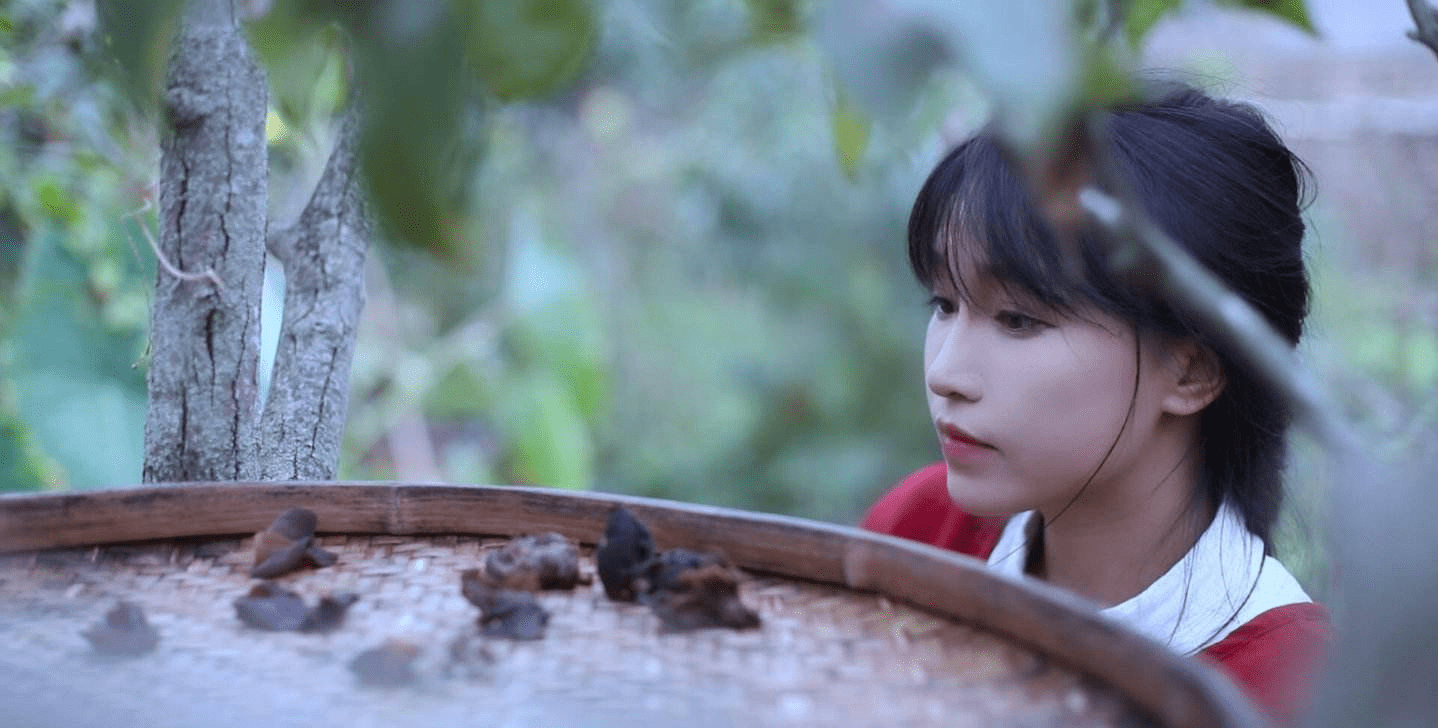 李子柒和前东家达成和解,不日即将复出!网友:难成一姐_视频_流量_影响