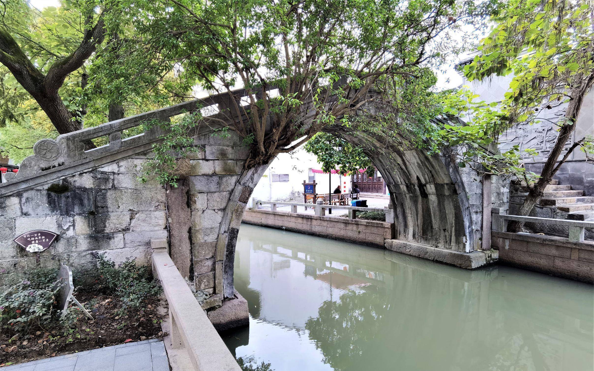 上海的这座古镇,具有独特的风貌,走走看看,古镇韵味十足_练塘_陈云