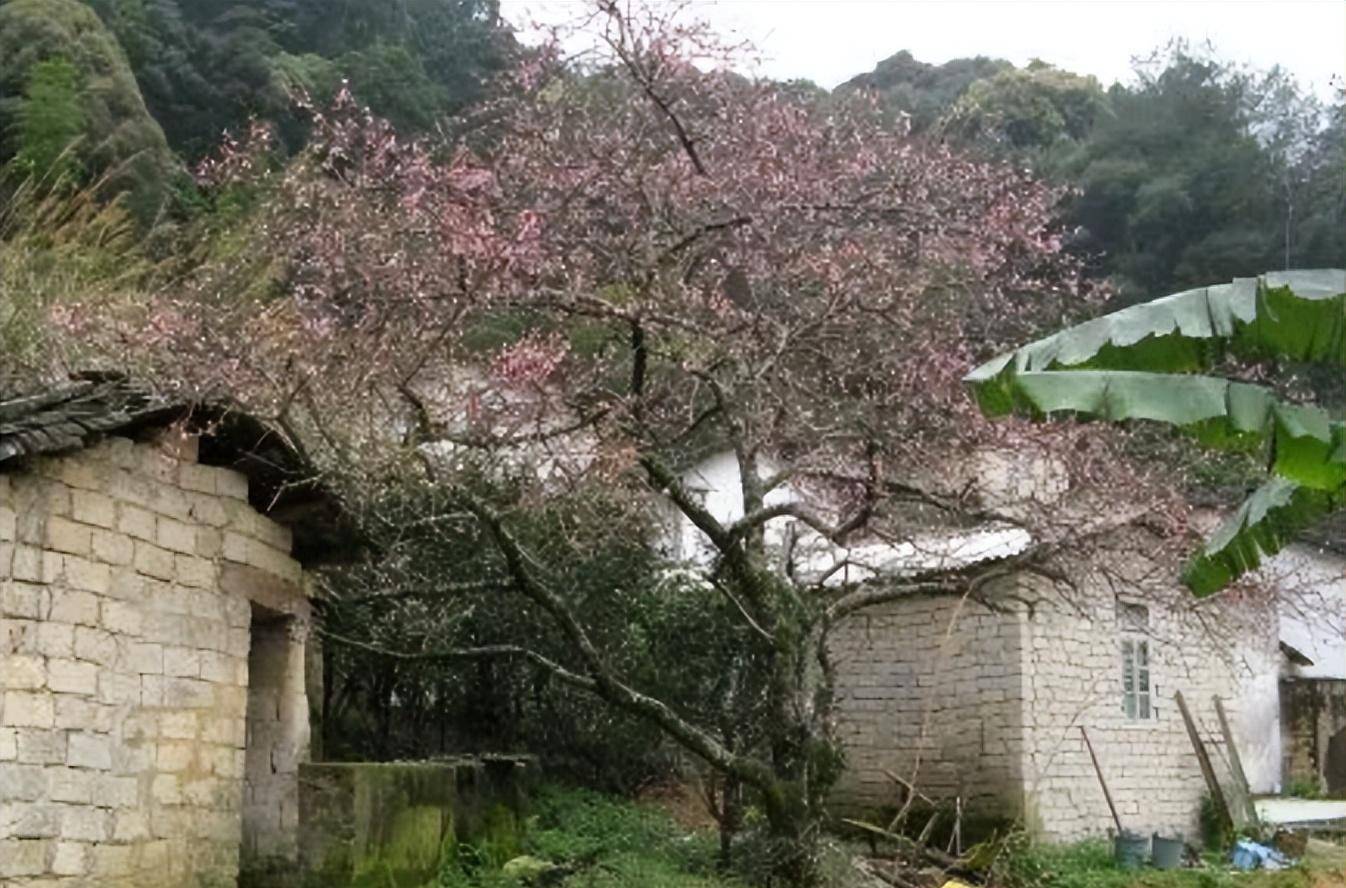 3000名警察仅20小时捉拿归案_父亲_青海_李漠