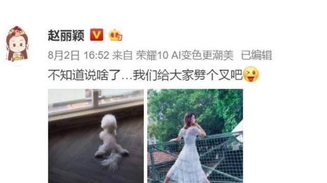 风中百合赵丽颖_赵丽颖非科班出道_赵丽颖早年经历