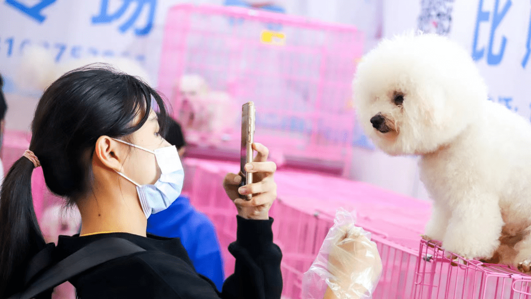 武汉宠物展门票预售已开启,引爆最燃萌宠现场!_互动_动物_展会