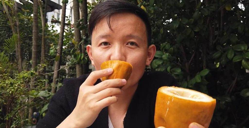 "水果猎人"杨晓洋,从一名普通工程师,到当今"水果百科 .